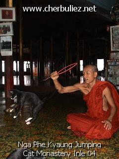 légende: Nga Phe Kyaung Jumping Cat Monastery Inle 04
qualityCode=raw
sizeCode=half

Données de l'image originale:
Taille originale: 188771 bytes
Temps d'exposition: 1/50 s
Diaph: f/240/100
Heure de prise de vue: 2002:08:09 16:42:18
Flash: oui
Focale: 42/10 mm

